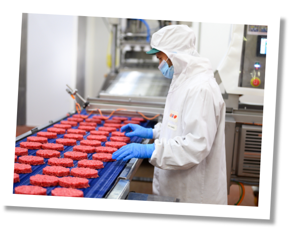 visuel collaborateur sva guidel