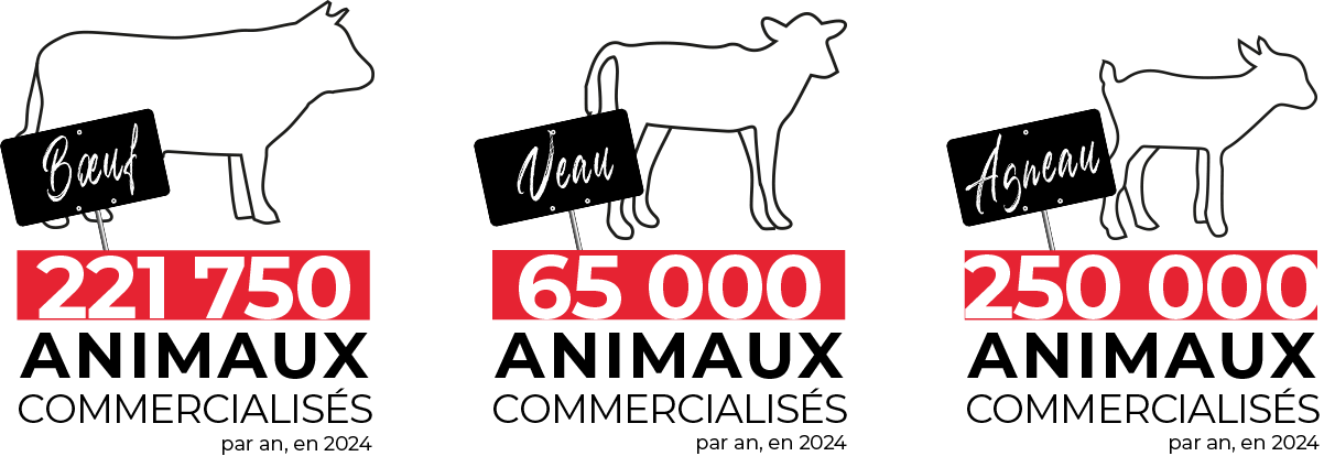 Approvisionnements 2024